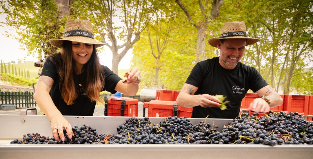 Produzidos pela Quinta da Pacheca, Maniche lança os vinhos «Dezoito by Maniche»