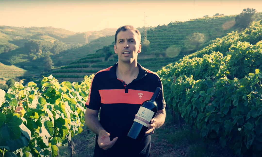 GRAPE EXPECTATIONS - EP. 08 - TINTA RORIZ IN THE DOURO AND PACHECA