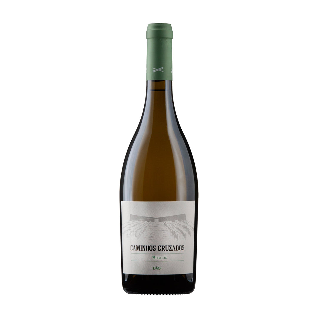 Caminhos Cruzados Colheita Branco 2023