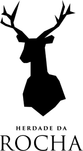 Uploaded Image