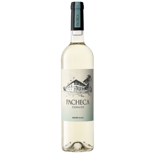 Pacheca Terroir Branco 2018 Douro D.O.C. - Quinta da Pacheca - Douro Valley